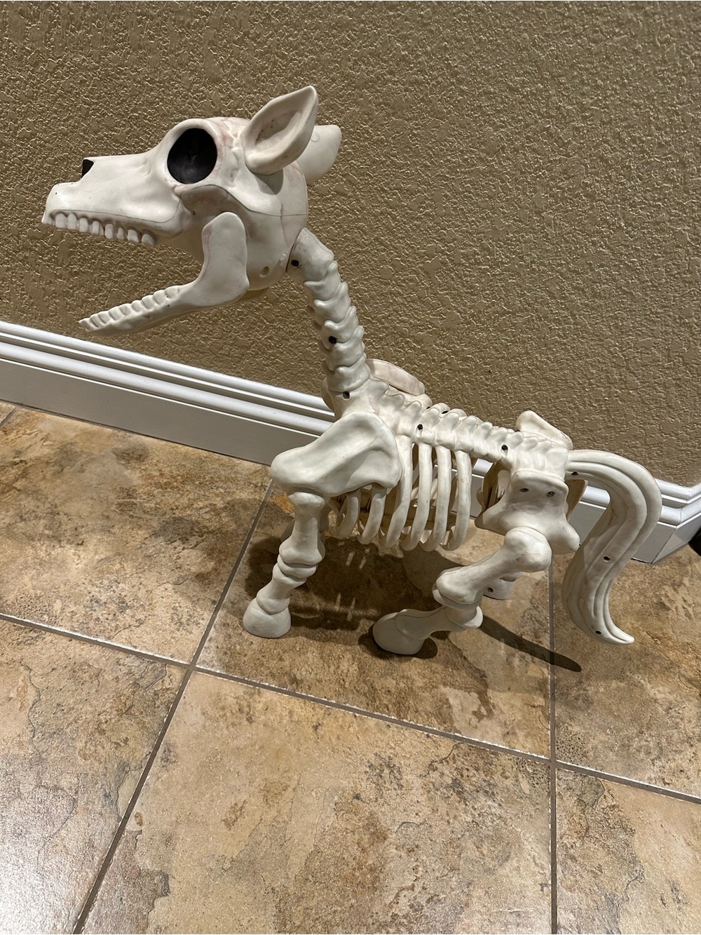Tractor Supply Red Shed Halloween Skeleton Horse VHTF Viral TikTok